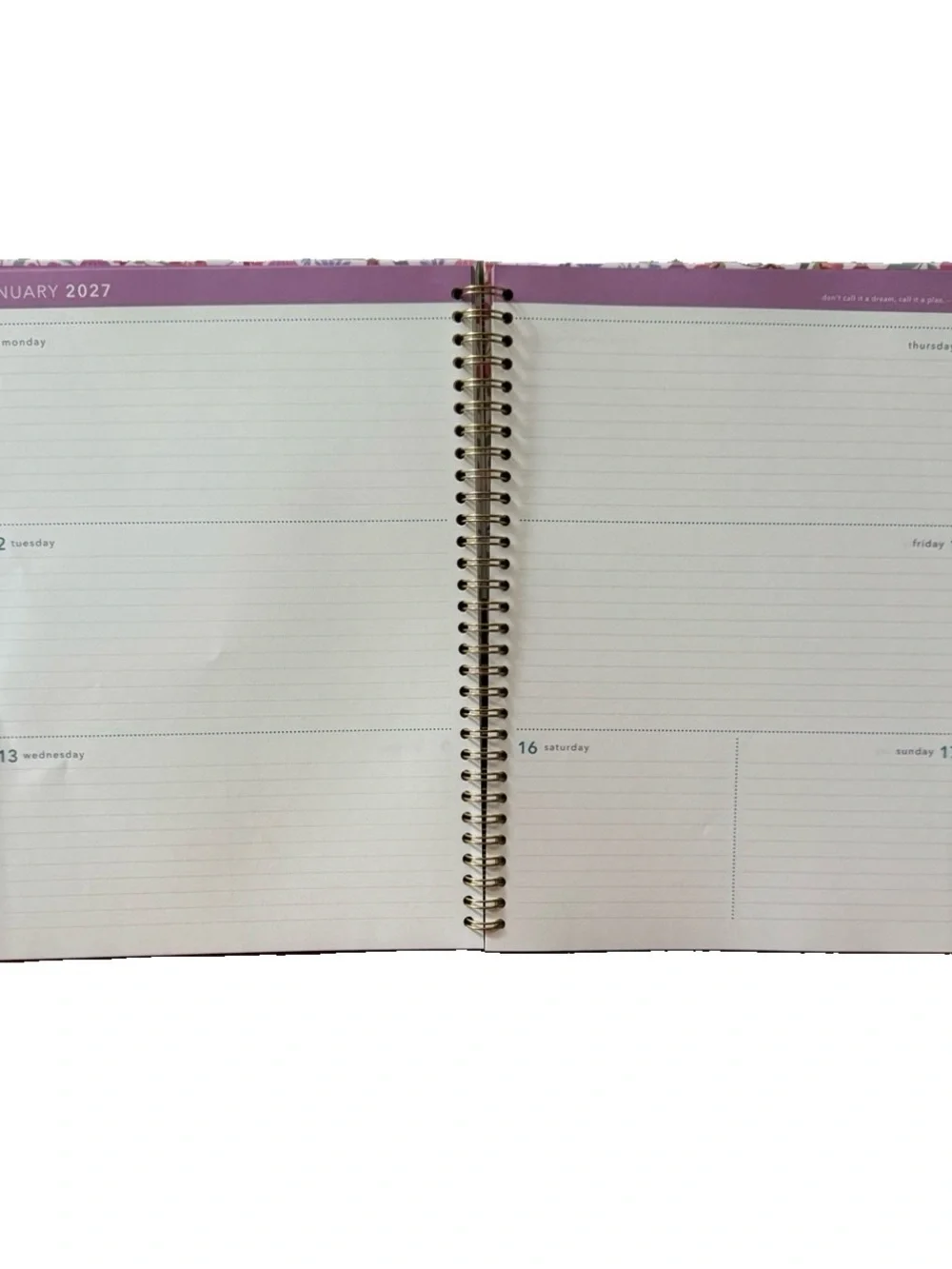 Clementine Paper inc.12 month Large Size Planner 11x9” Cat Pink Floral 2026-2027